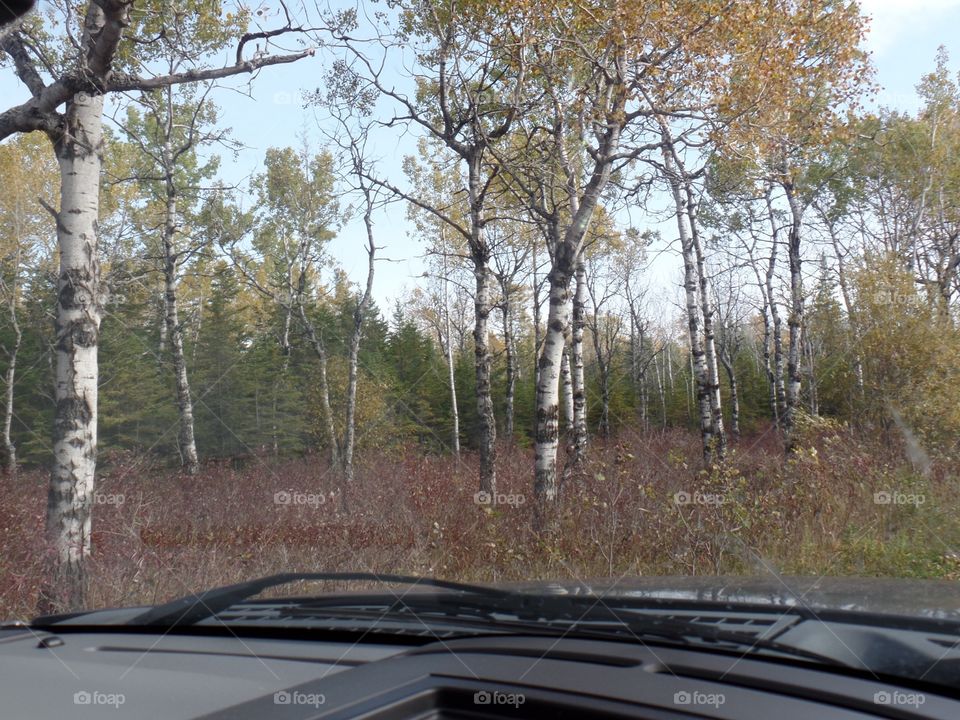 Drummond Island, Michigan 