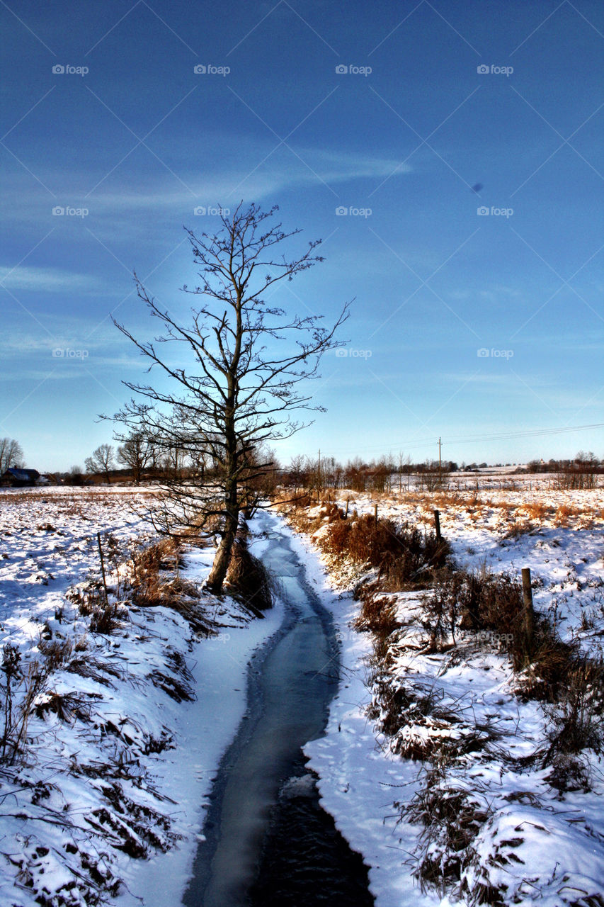 snow winter sweden nature by evildex