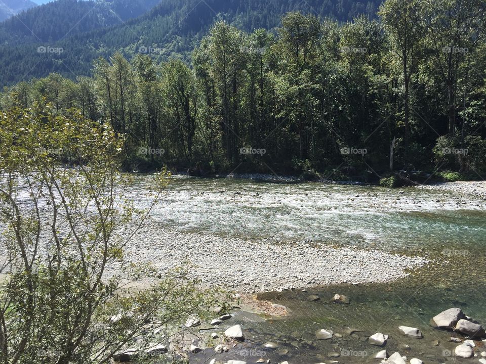 Water, Landscape, River, Nature, Tree