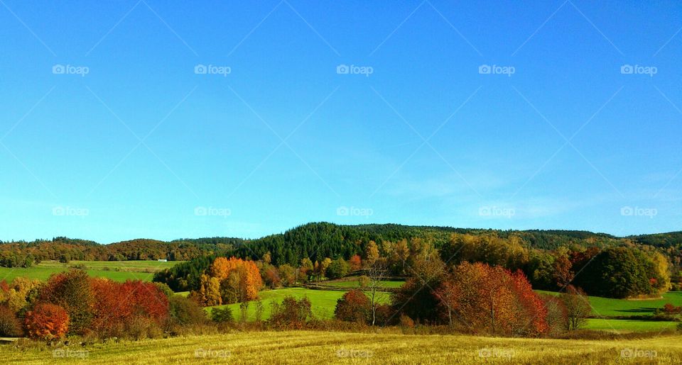 Scenic view of landscape during autumn