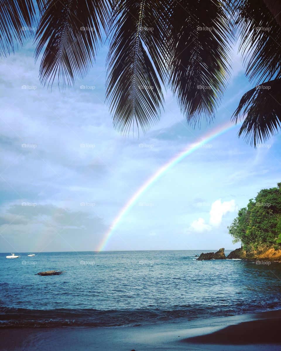 Tobago rainbow