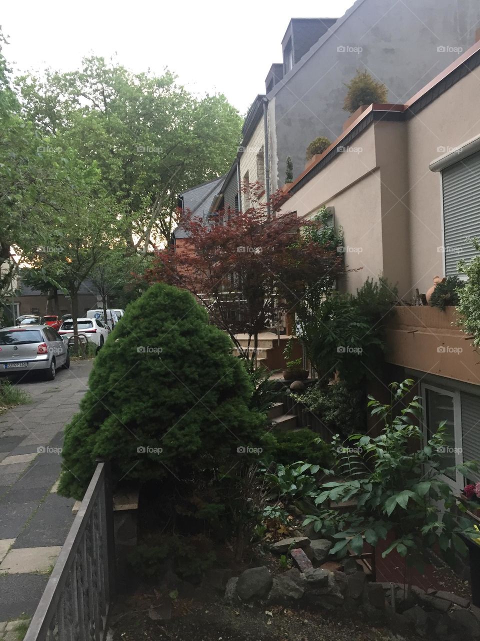 Mein Vordergrund Garten 