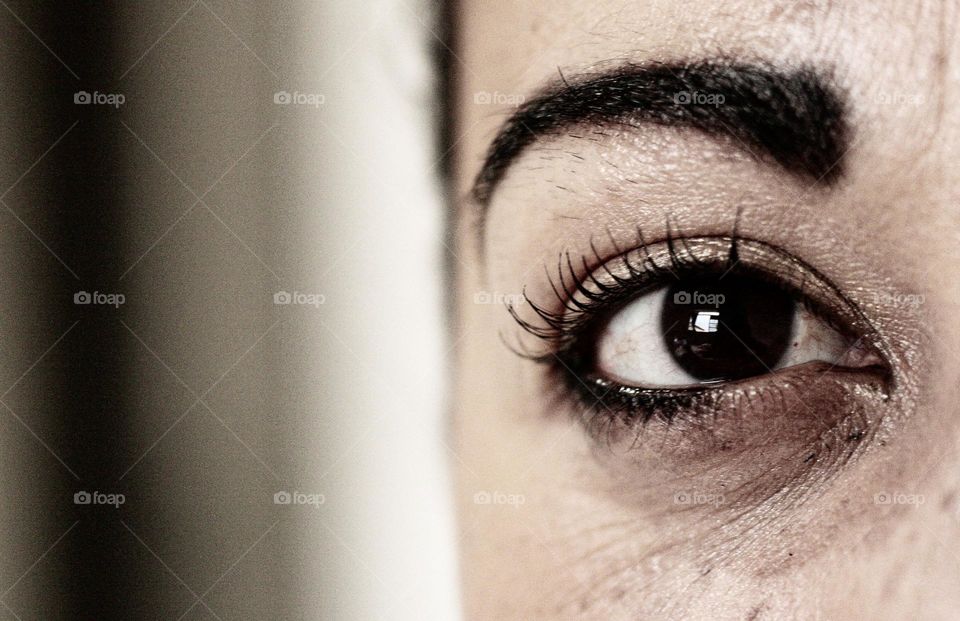 macro photo of a mocha's eye

￼