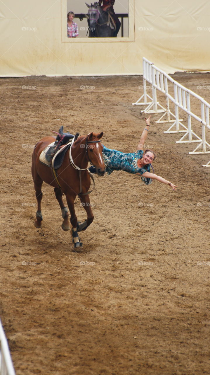 Equestrian performances 馬術表演