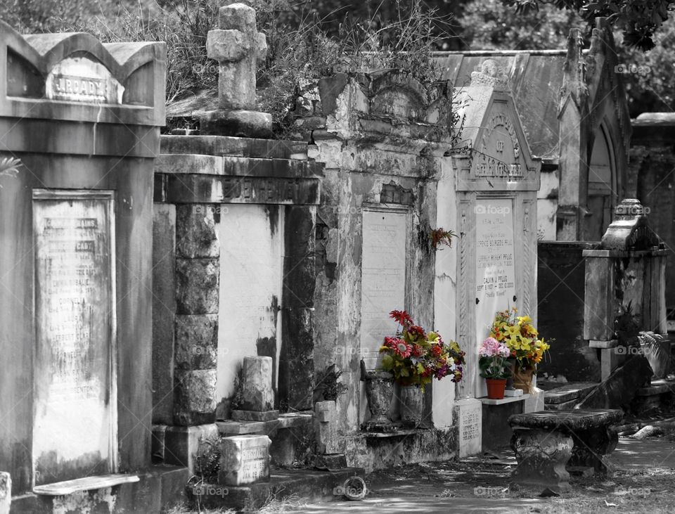 Cemetery . Old cemetery in New orleans