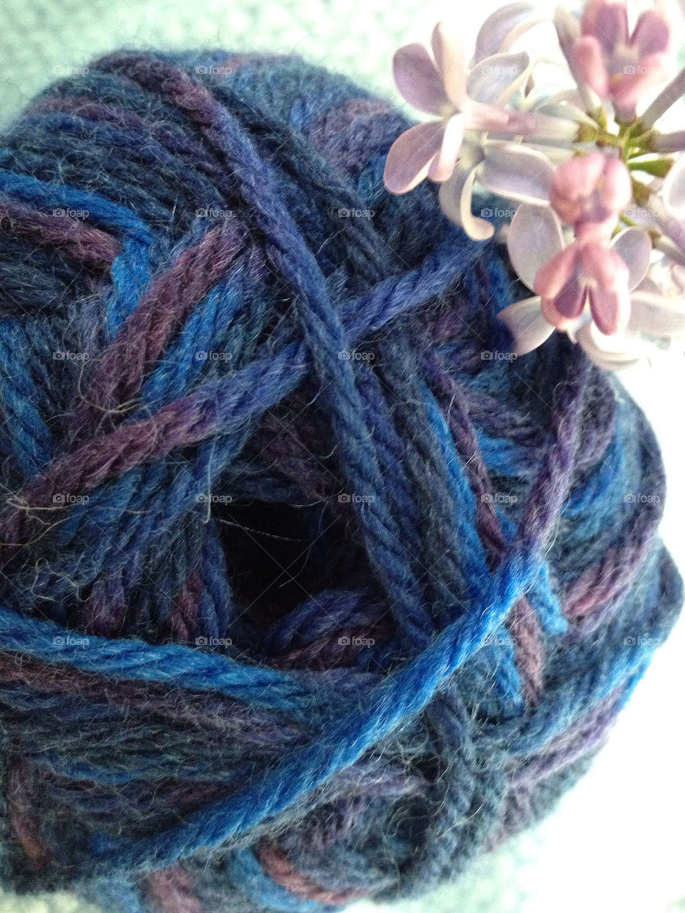 sweden blue hobby lilac by annestenbeck