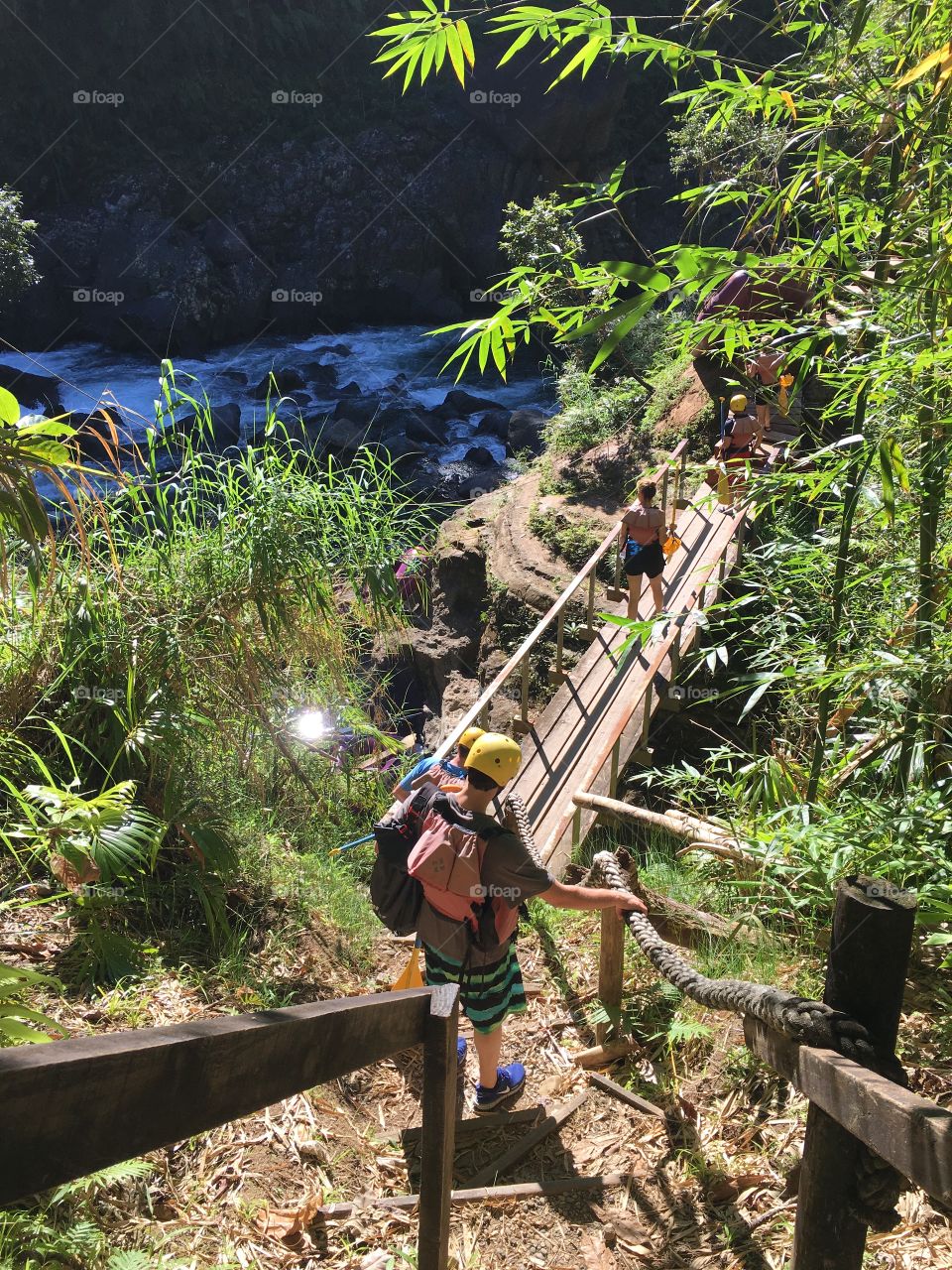 Rain forest
Fiji 🌺 