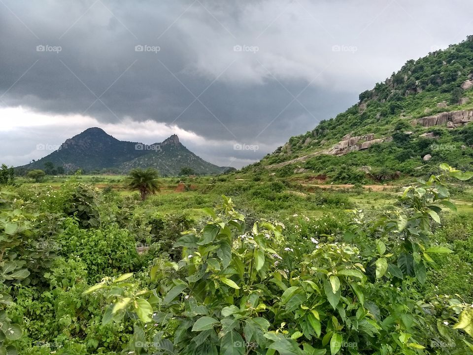 kothila mountain view