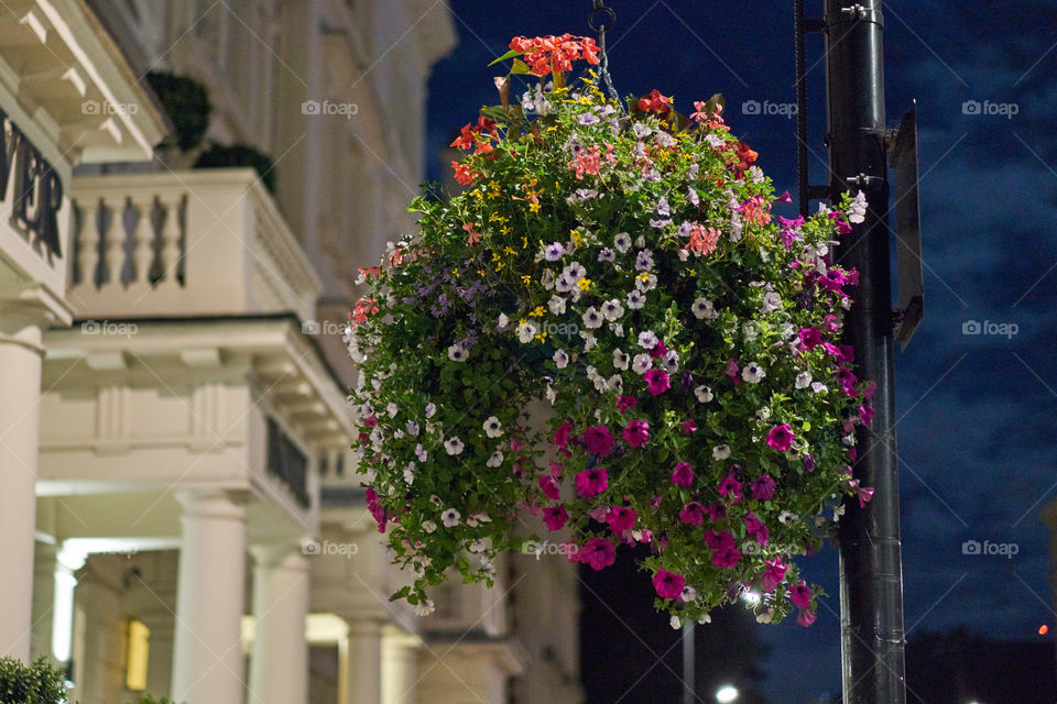 Street Light-post Gardening