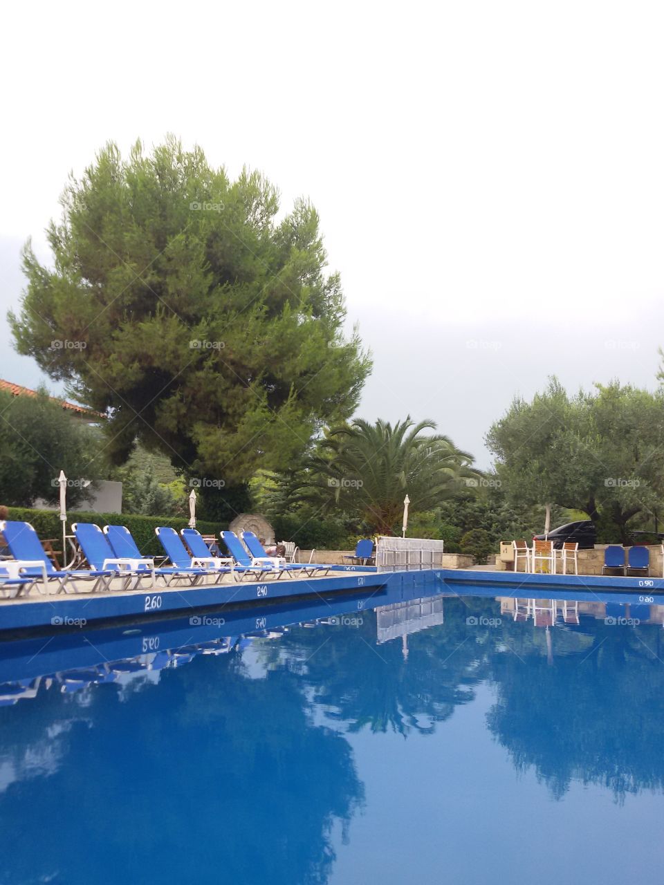 Pool at the hotel