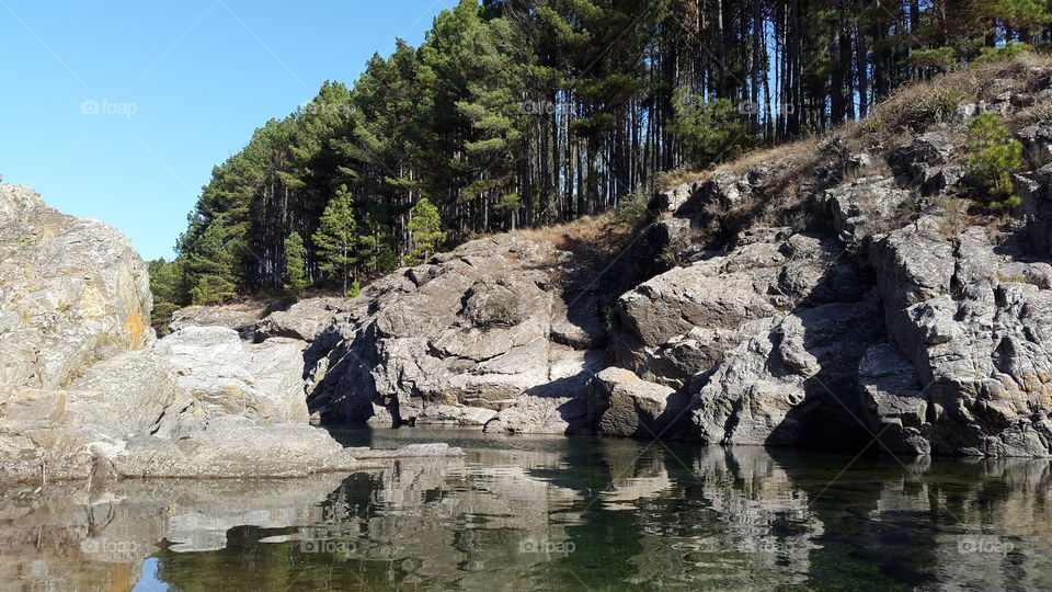 natural river. river near forest