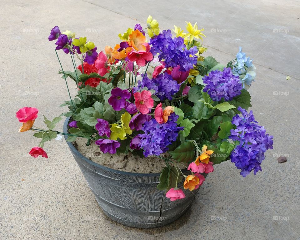 Spring Potted Flowers