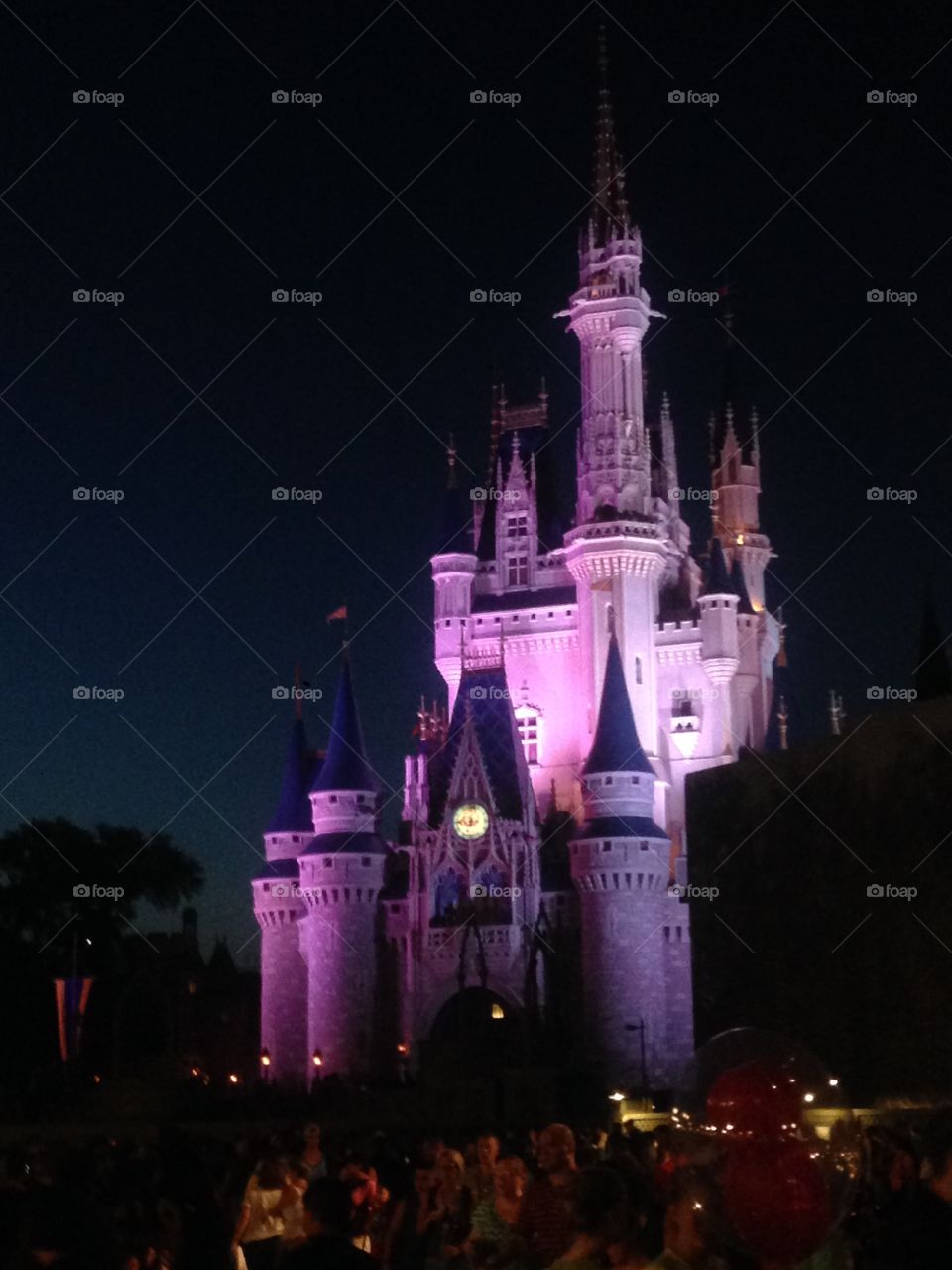 Cinderella's castle
