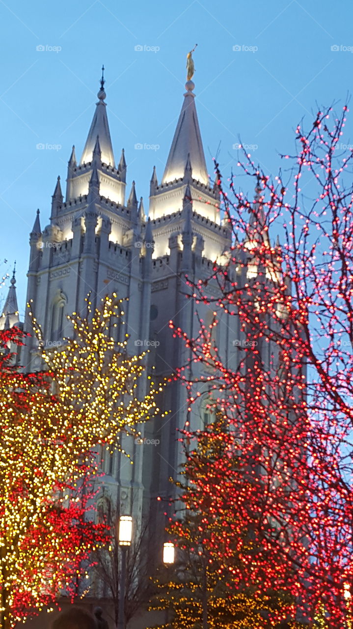 Salt Lake Temple at Christmas