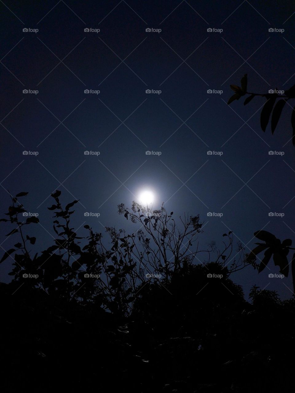 I found Beautiful scenery at night, and I decided to share it