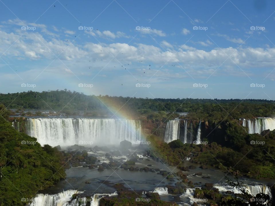 Iguaçu Falls. Nice view of Iguaçu Falls from Brazilian side.