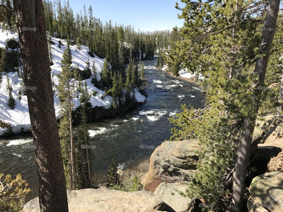 River at Yellowstone 