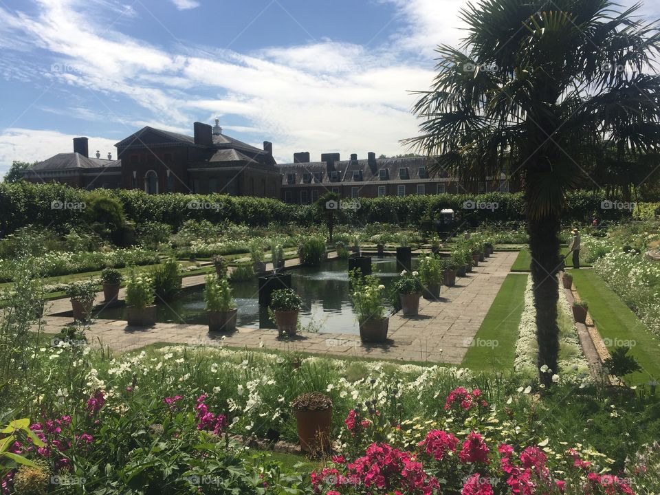 Kensington gardens