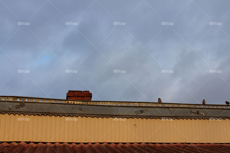 Close-up of traditional country house with chimney and birds in winter