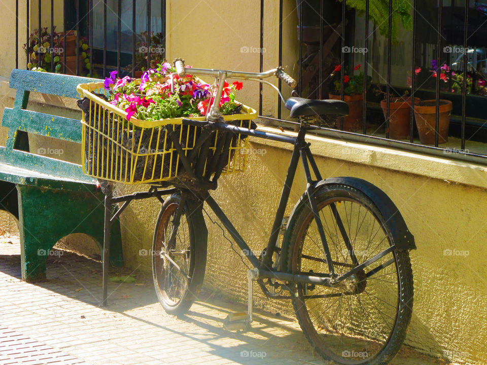 flowers bike basket colonia del sacramento by jpt4u