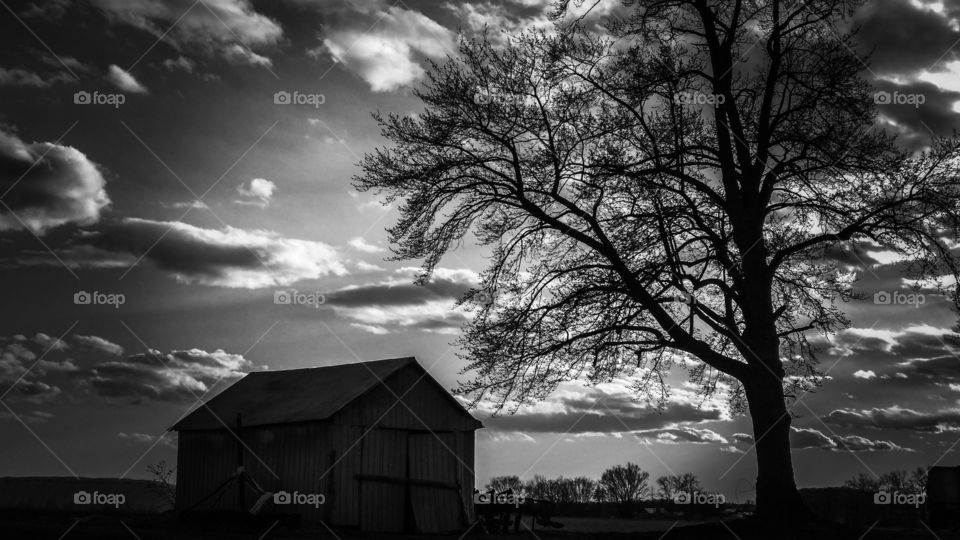 A Day In The Life Of A Farm