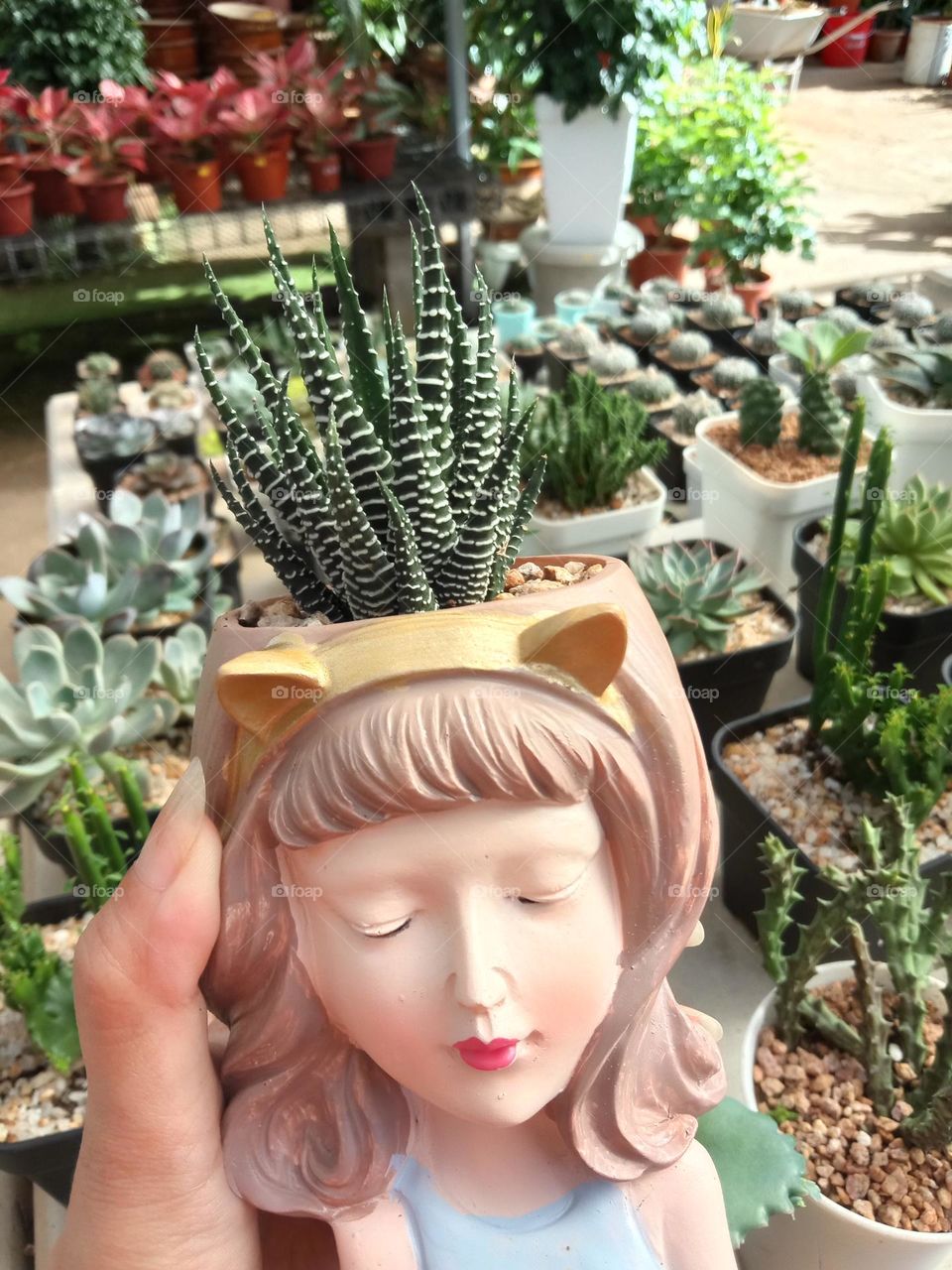 Plants do not speak, but their silence is alive with change.