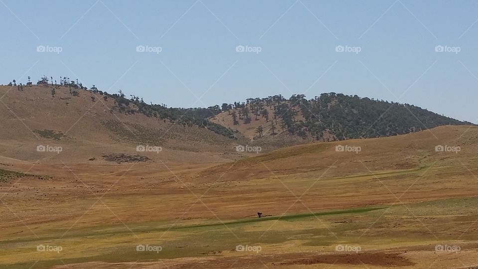 Berber landscape