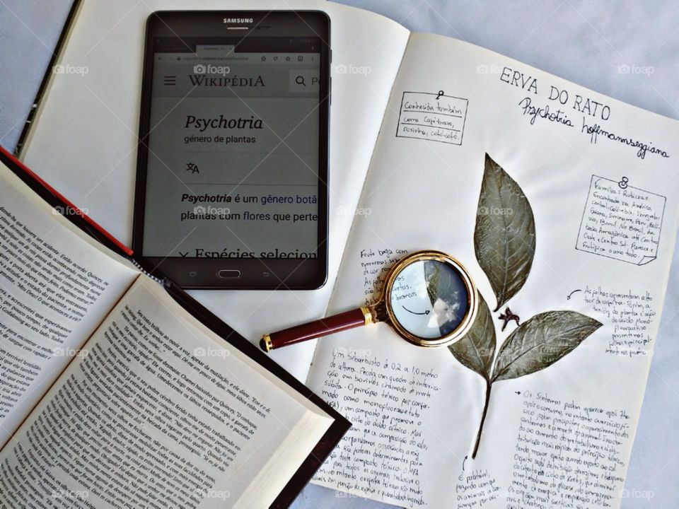 Pesquisas sobre plantas