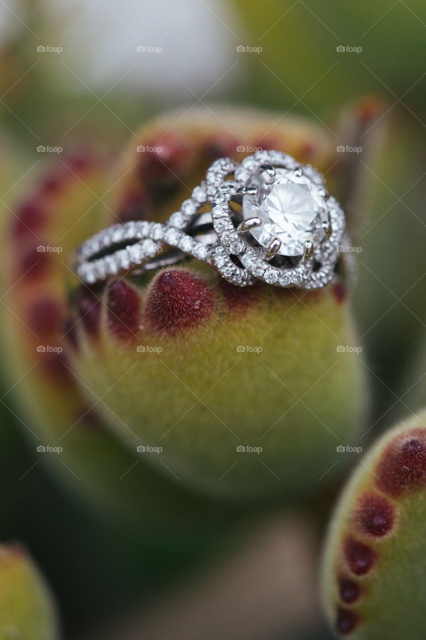 diamond ring on top of a  succulent plant 