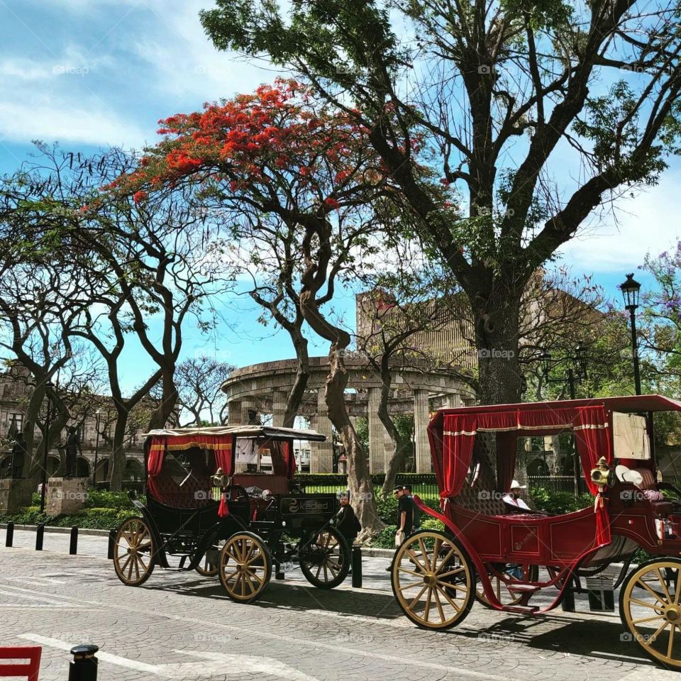 Red cars 