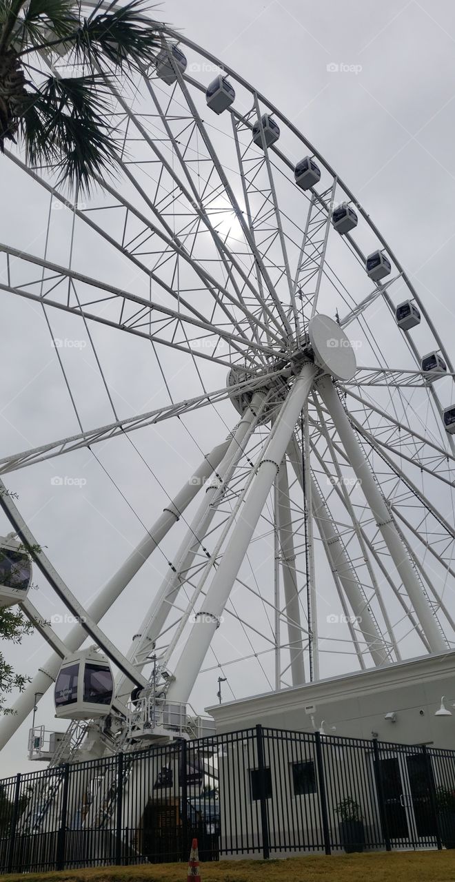 ferris wheel