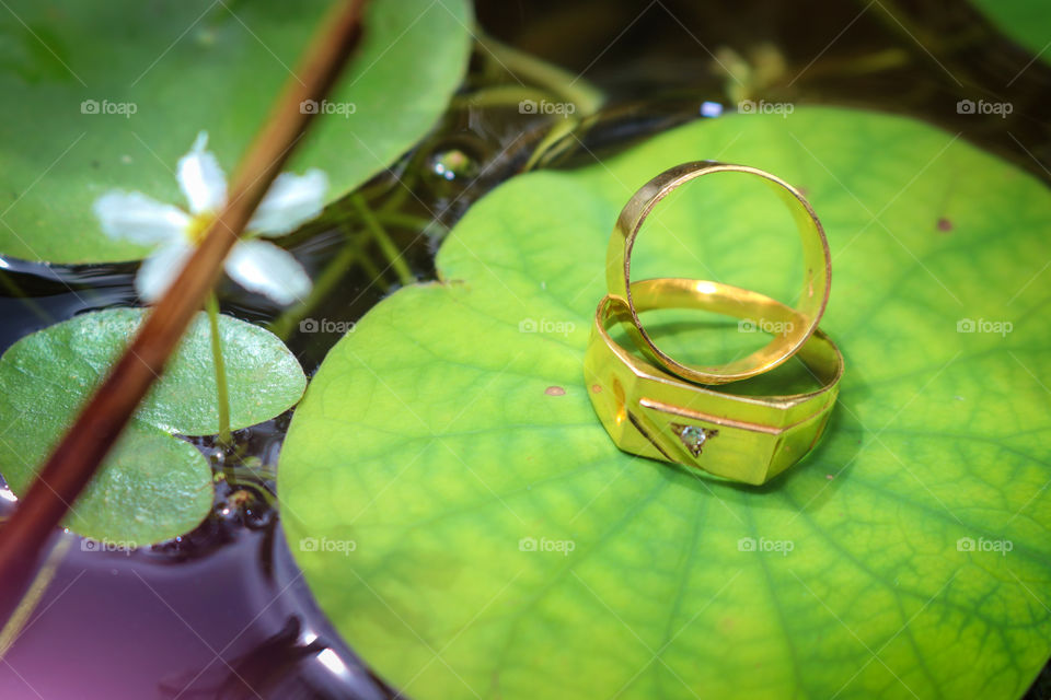 Gold wedding rings