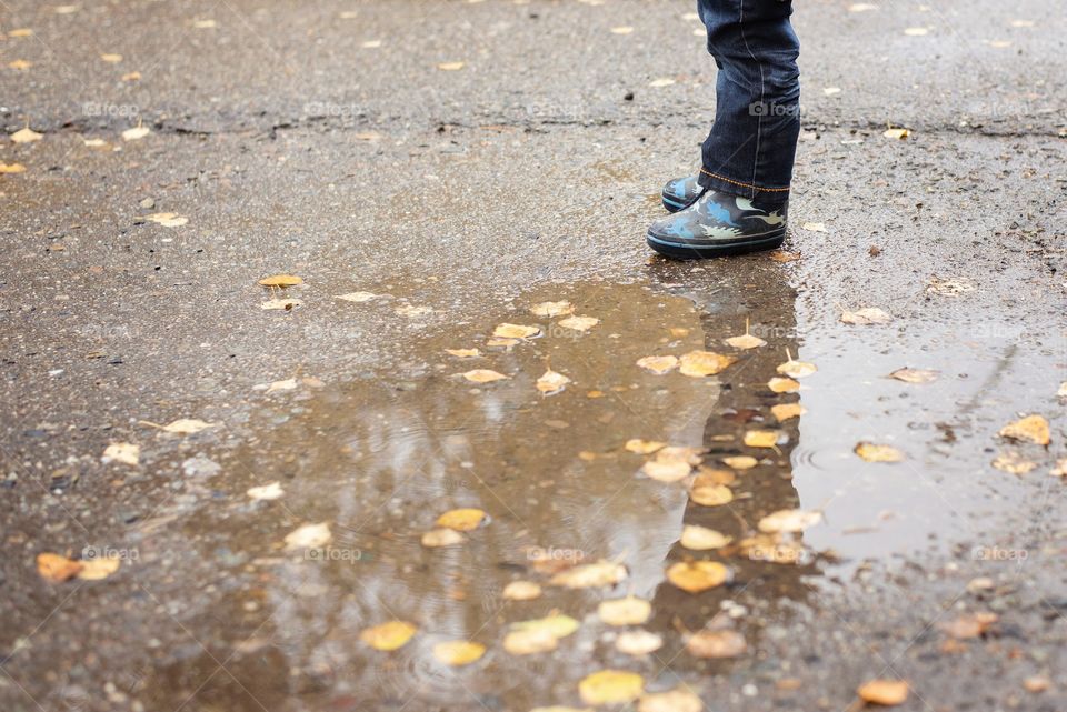 Autumn in the city, rain, puddles