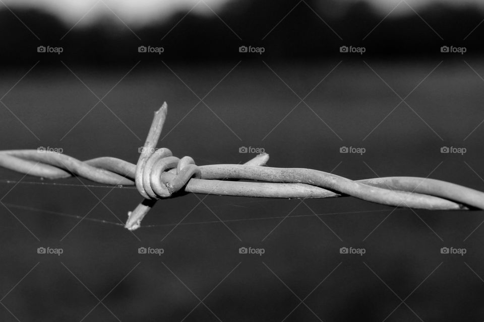 Barbed wire 2