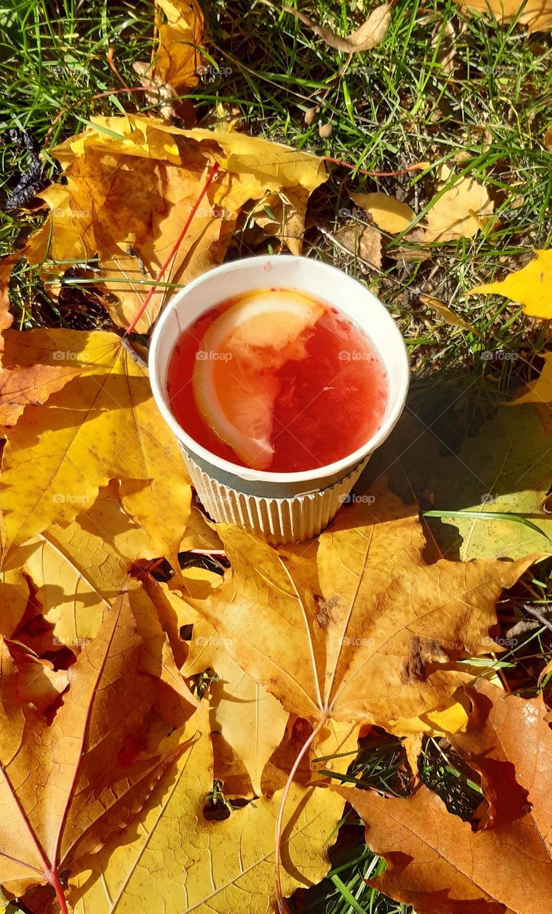 a cup of fruit tea in an autumn day 😋
