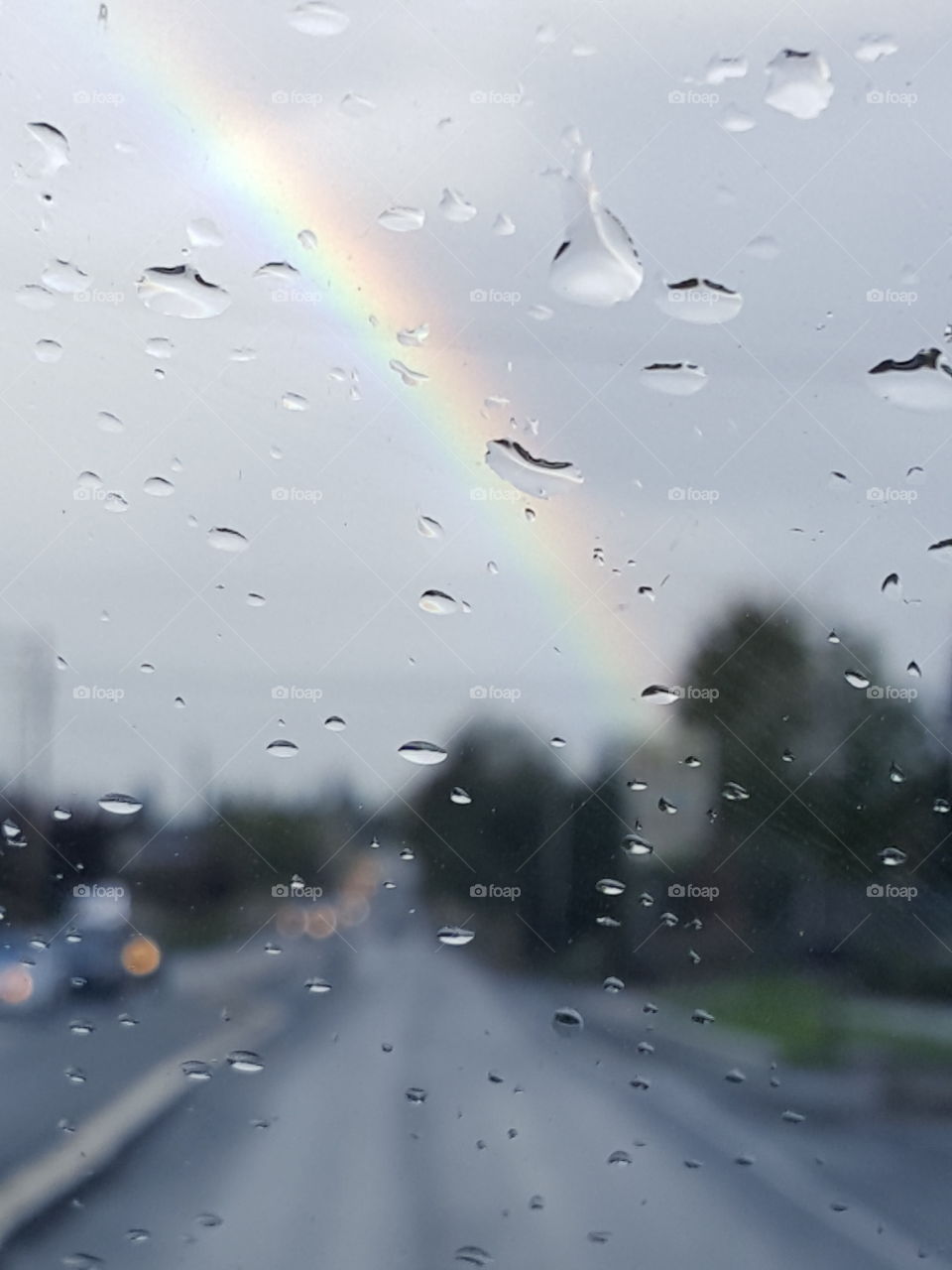 Rainy Rainbow