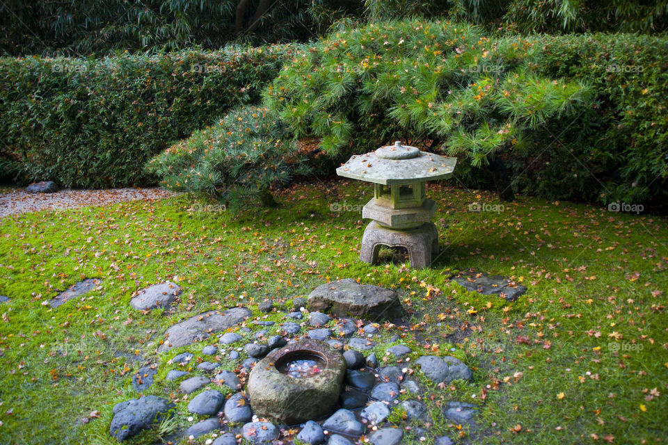 THE JAPANESE GARDEN AT THE GOLDEN GATE PARK SAN FRANCISCO CALIFORNIA USA