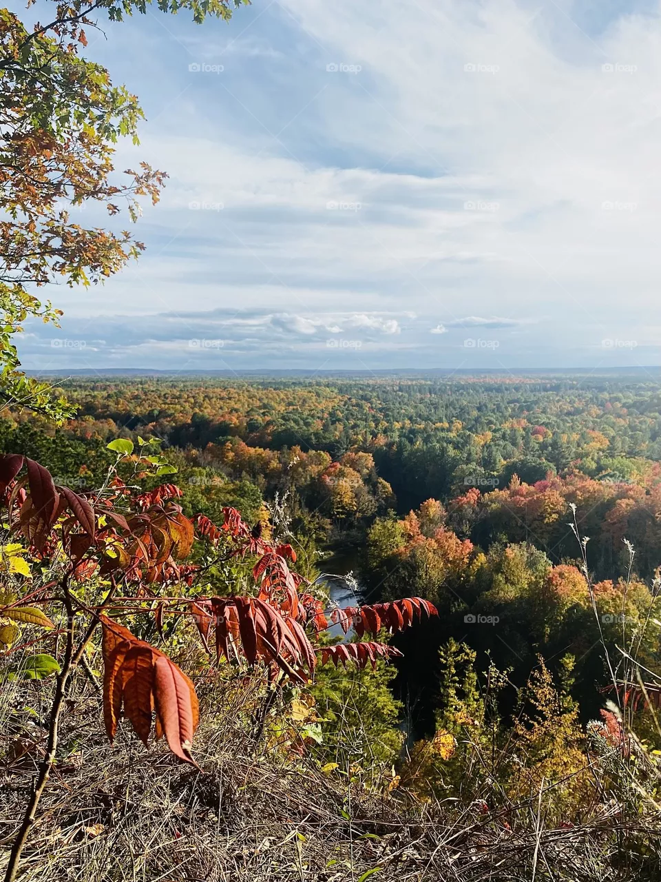 Fall landscape 