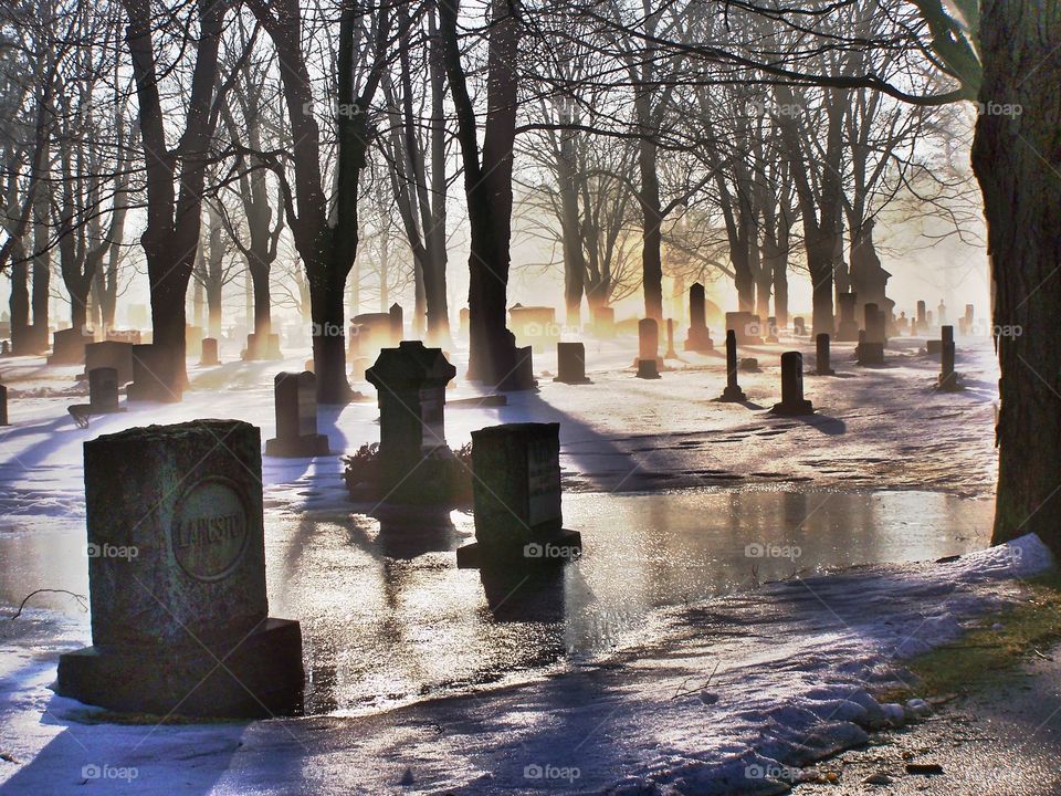 misty morning in cemetery. The morning sun shines through the morning mist creating silhouettes in the cemetery.