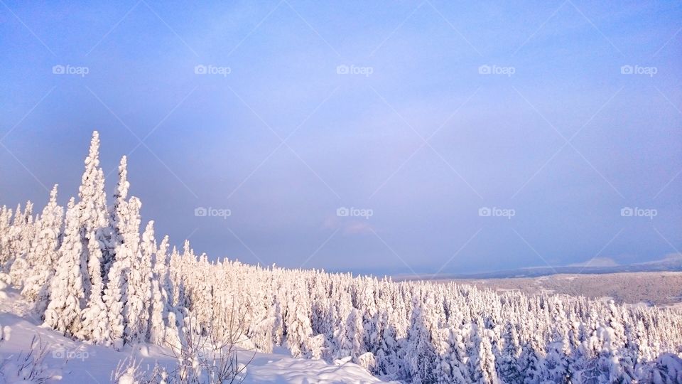 Snowy Mountains