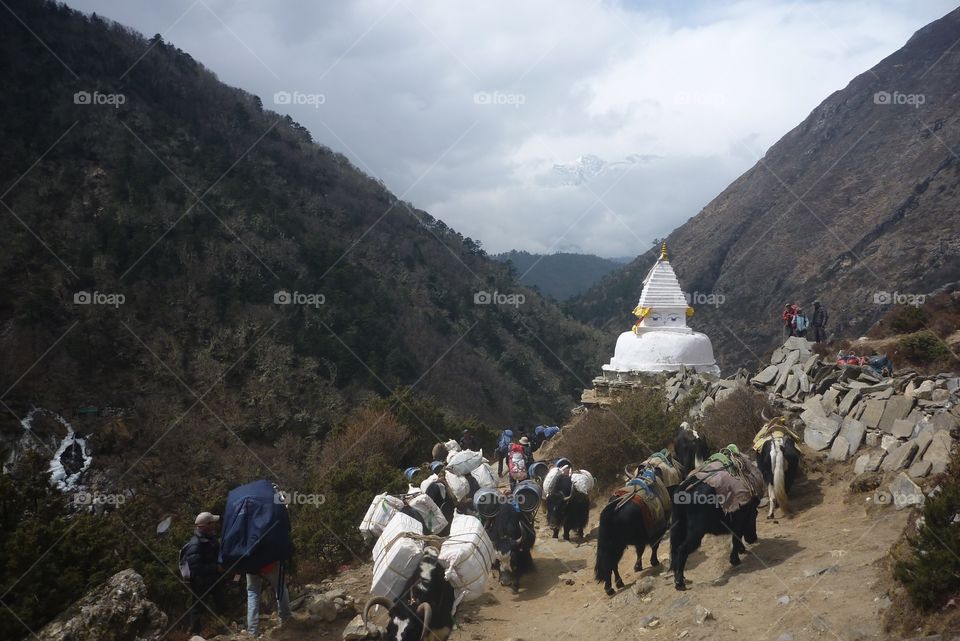 Nepal stupa