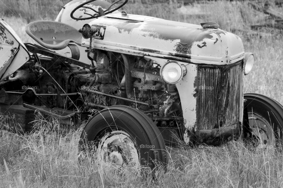 Old Ford Tractor