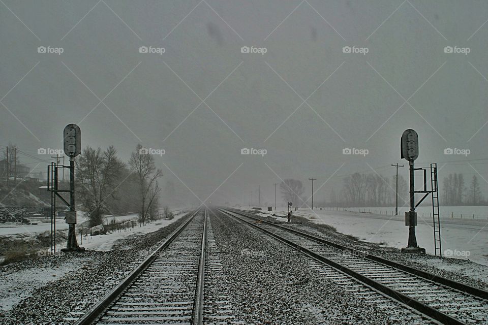 Lonely Tracks