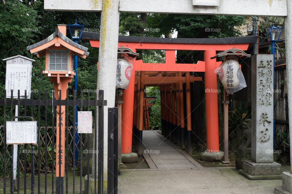 Road to shrine. Walking around ueno park