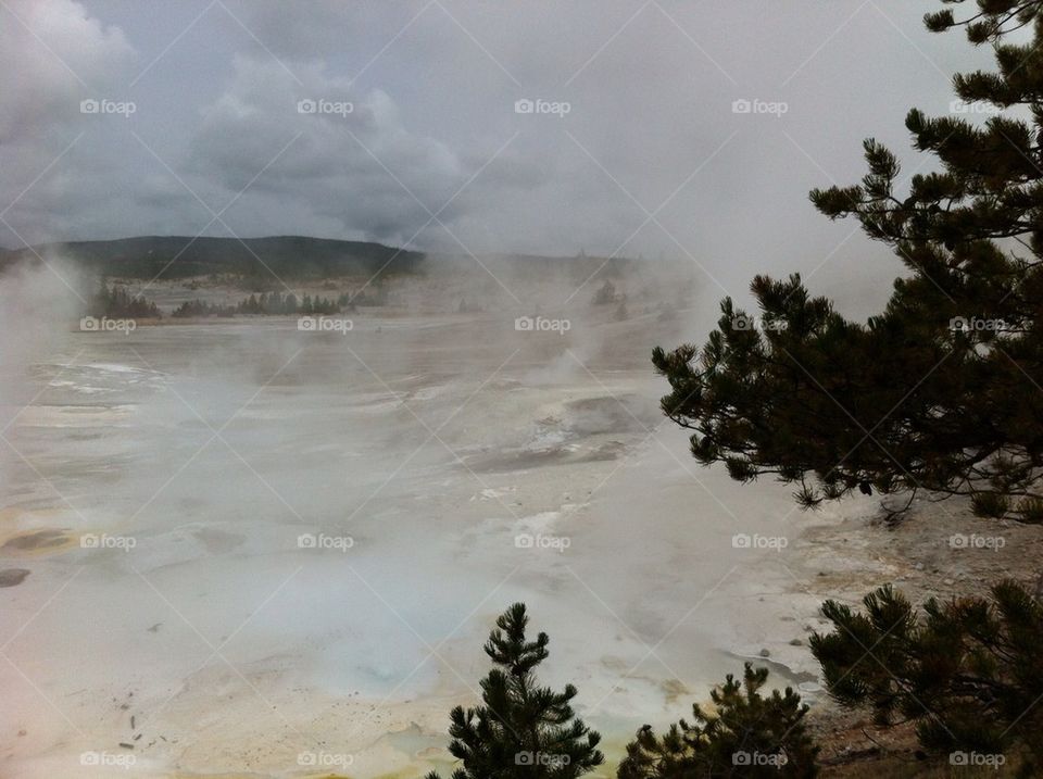 Geysers of Yellowstone  