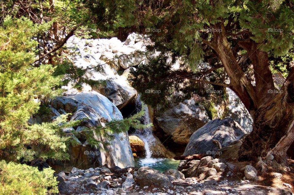 View of a flowing river