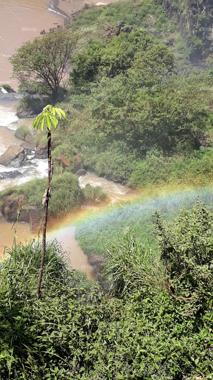 arco iris cascada río