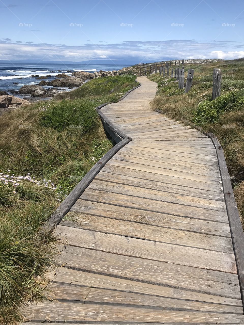 A warped and weathered boardwalk that twists and turns down the length of the beach. 
