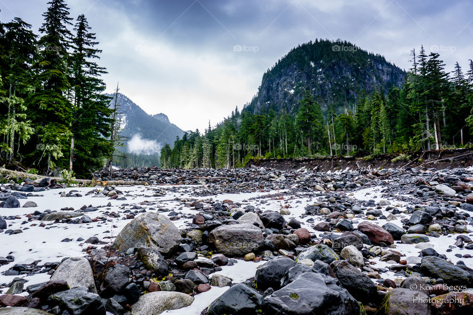 Rainier Creek