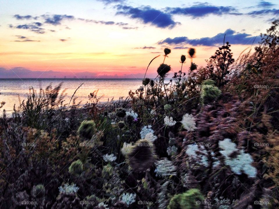 Sunset in Höllviken 